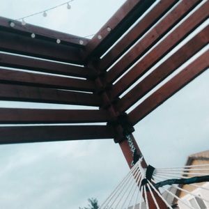 Meet your Posher, Jaylee